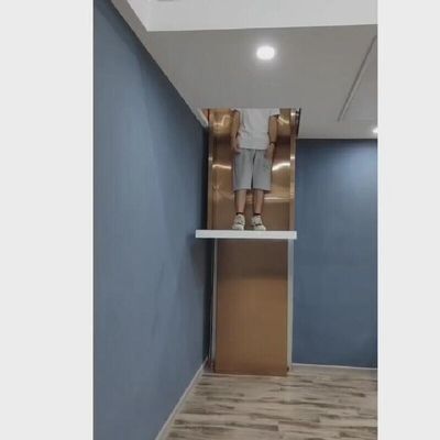 30M سفر خانگی هیدرولیک آسانسور 400Kg فشرده هیدرولیک خانه آسانسور