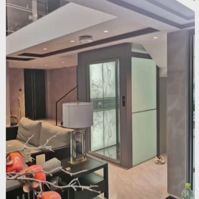 آسانسور خانه امن و امن ویلا 0.6 M/S واحد / سه فاز برق