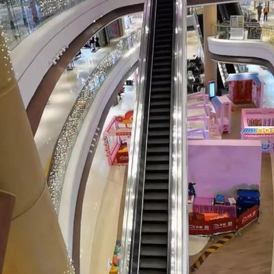 نگهداری پیش بینی شده راهروی اتوماتیک 30 درجه آسانسور پله برقی