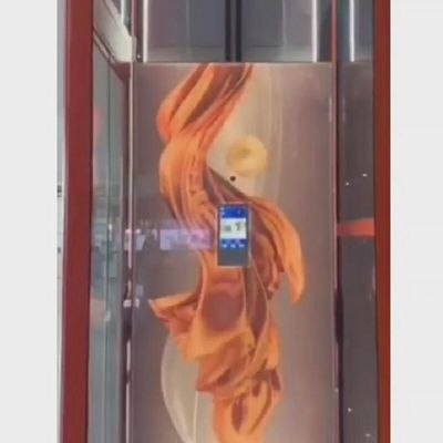 آسانسور مسکونی کوچک از فولاد ضد زنگ 400 کیلوگرم آسانسورهای کوچک برای خانه ها